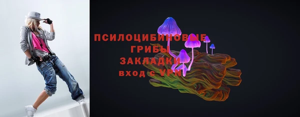 прущая мука Бронницы