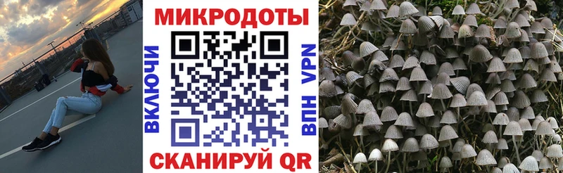 дарнет шоп  Ува  Галлюциногенные грибы ЛСД 