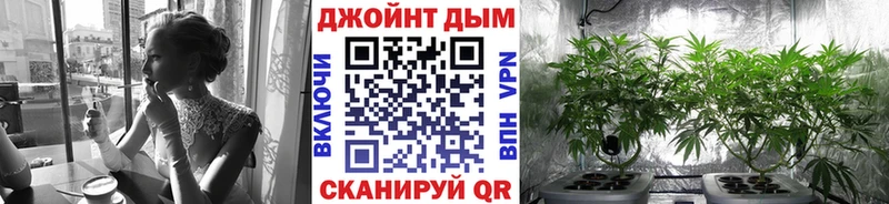 Каннабис SATIVA & INDICA  Ува 